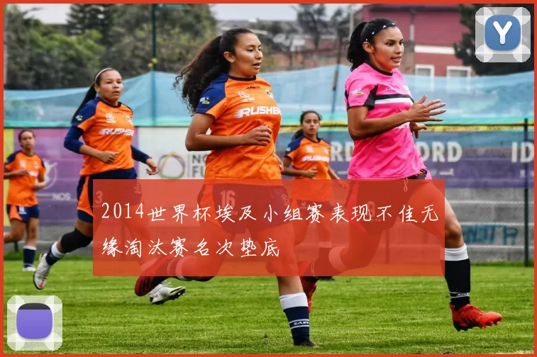 2014世界杯埃及小组赛表现不佳无缘淘汰赛名次垫底