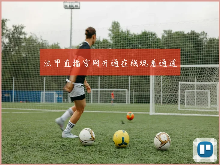 法甲直播官网开通在线观看通道