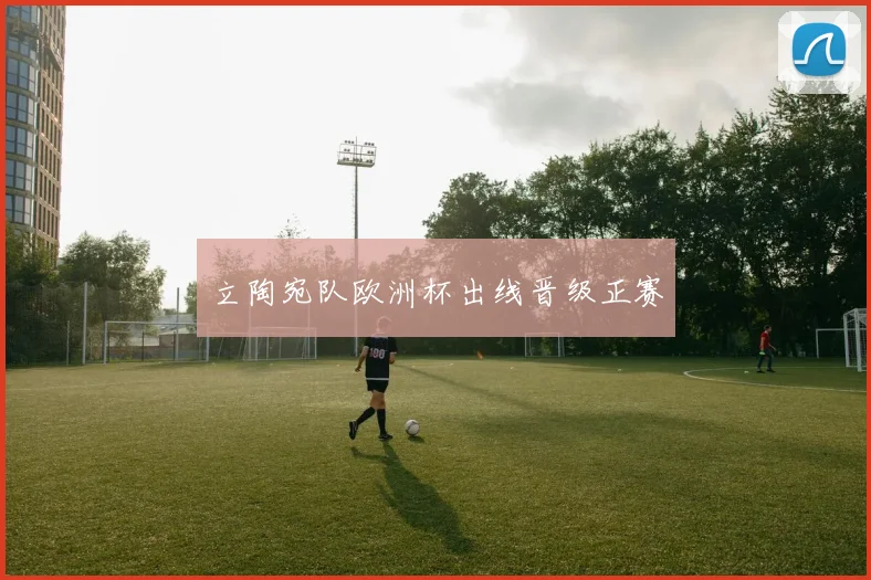 立陶宛队欧洲杯出线晋级正赛