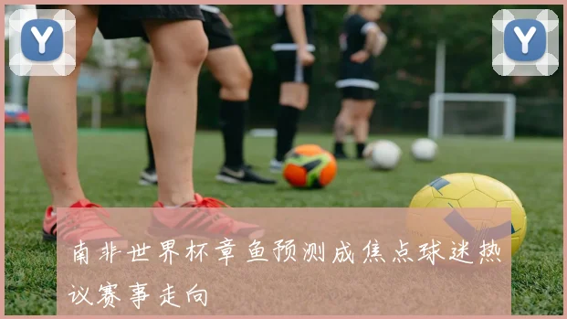 南非世界杯章鱼预测成焦点球迷热议赛事走向